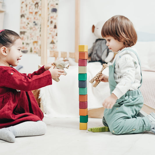 Wooden toys, Techny Birds, kids toys