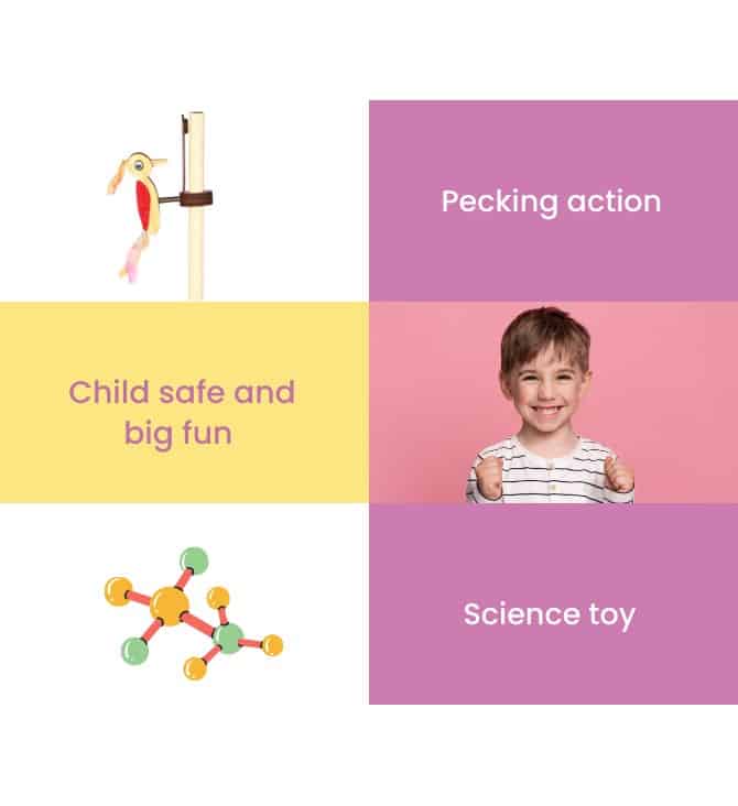 Wading Ducks (STEM Toy)